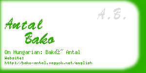 antal bako business card